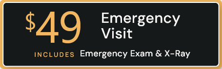 Emergancy Visit $49 special stamp